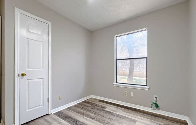 8440  Phoenix Ave, Selma, TX 78154 — photo 13