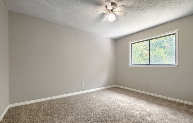 8440  Phoenix Ave, Selma, TX 78154 — photo 14
