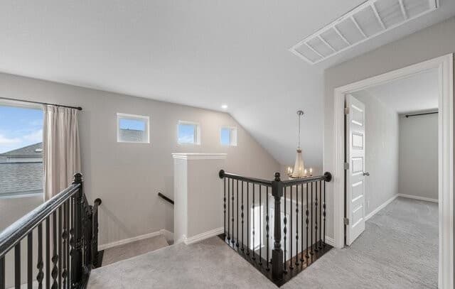 2080  Cowan Dr, New Braunfels, TX 78132 — photo 25