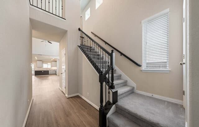 2080  Cowan Dr, New Braunfels, TX 78132 — photo 5