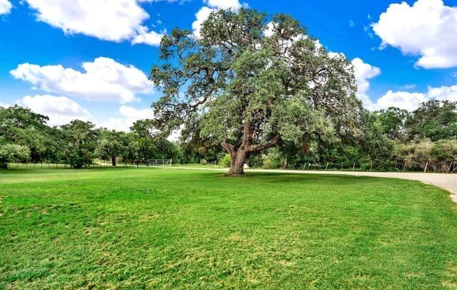 144  Pr 324, Dhanis, TX 78850 — photo 3