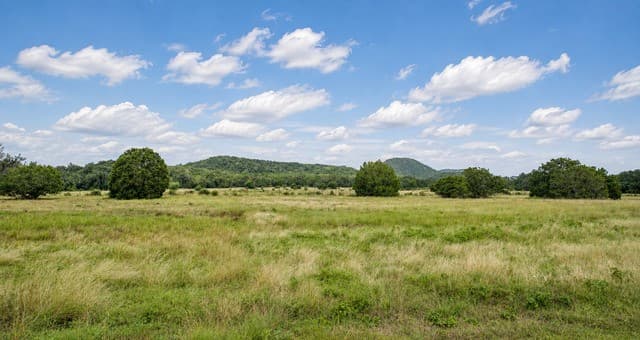 2307  Cr 359, Utopia, TX 78884 — photo 4