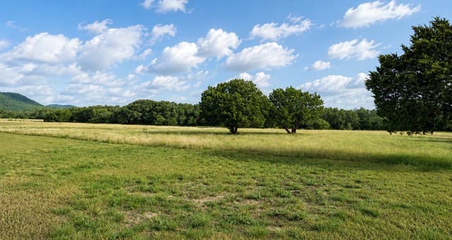 2307  Cr 359, Utopia, TX 78884 — photo 5