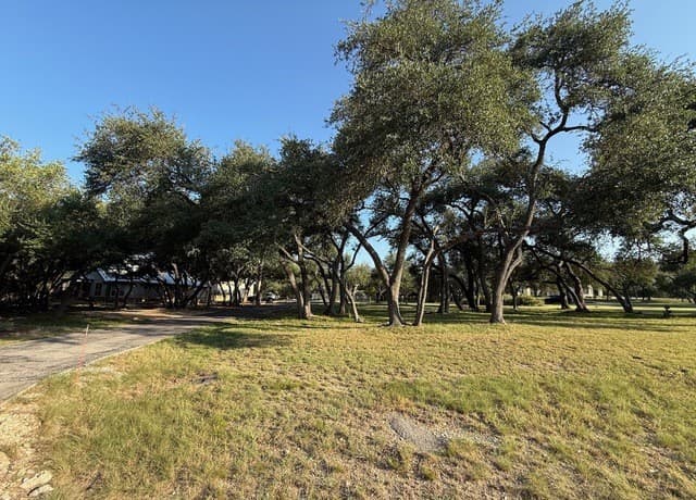 373  Wentworth, Spring Branch, TX 78070 — photo 11