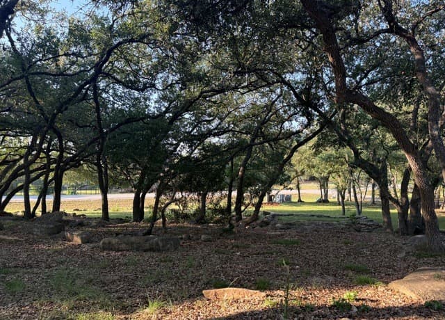 373  Wentworth, Spring Branch, TX 78070 — photo 7