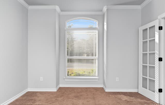 8710  Kallison Arbor, San Antonio, TX 78254 — photo 8
