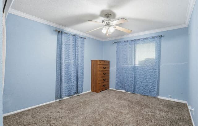 1015  Cibolo Trl, Universal City, TX 78148 — photo 17