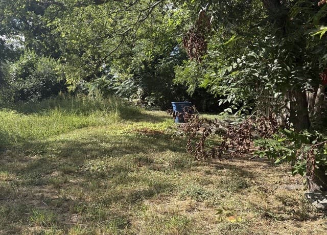 114  May, San Antonio, TX 78202 — photo 4