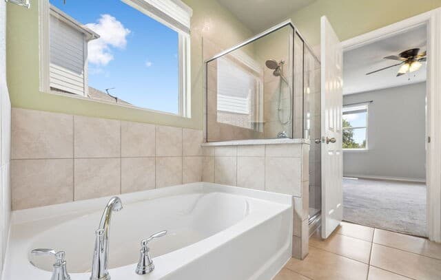 8624  Dove Pass, San Antonio, TX 78254 — photo 13