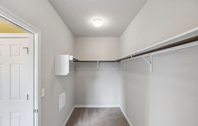 8624  Dove Pass, San Antonio, TX 78254 — photo 16