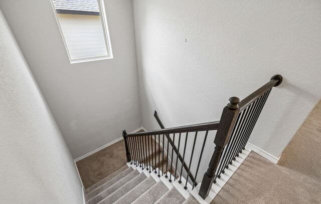 8624  Dove Pass, San Antonio, TX 78254 — photo 20