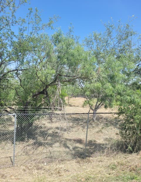 754  County Road 6843, Lytle, TX 78052 — photo 4