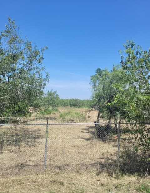 754  County Road 6843, Lytle, TX 78052 — photo 6