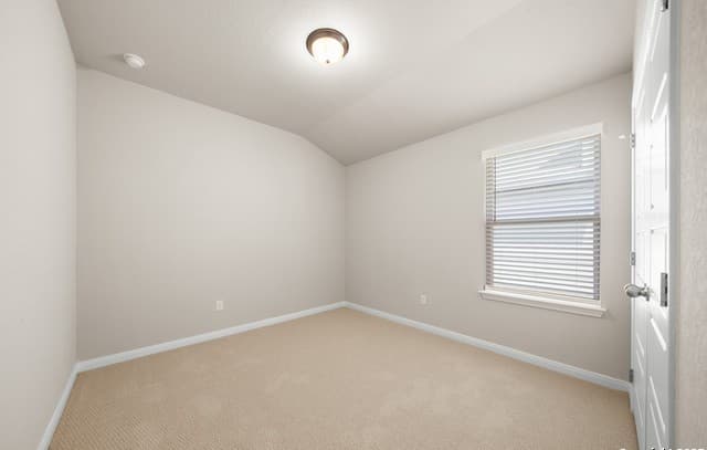 1220  Ella Xing, New Braunfels, TX 78130 — photo 22