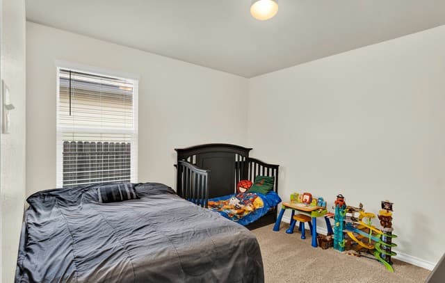 6437  Hoffman Plain, San Antonio, TX 78252 — photo 22