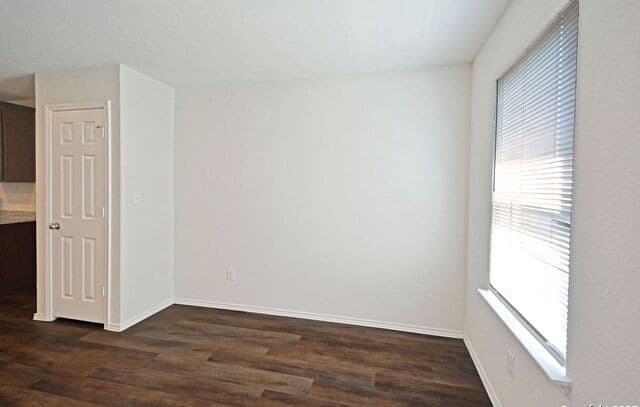 430  Russian Sage, New Braunfels, TX 78130 — photo 15
