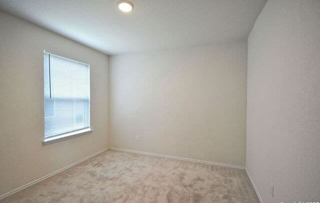 430  Russian Sage, New Braunfels, TX 78130 — photo 16