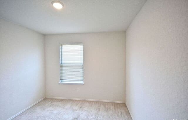 430  Russian Sage, New Braunfels, TX 78130 — photo 20
