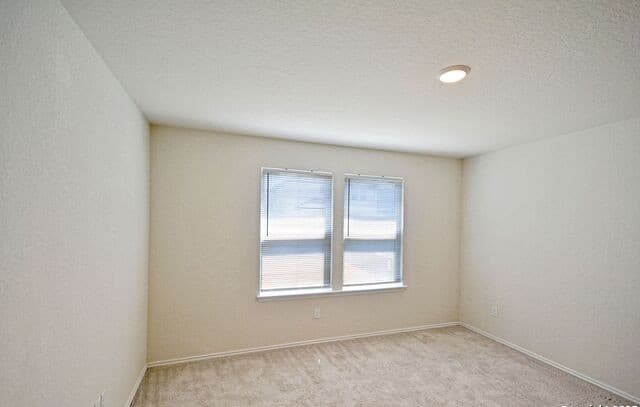 430  Russian Sage, New Braunfels, TX 78130 — photo 23