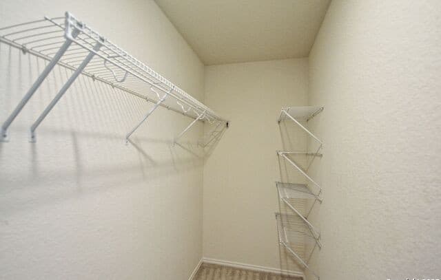 430  Russian Sage, New Braunfels, TX 78130 — photo 24