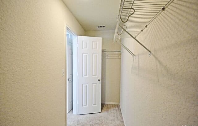 430  Russian Sage, New Braunfels, TX 78130 — photo 25