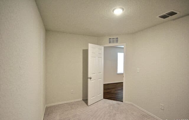 430  Russian Sage, New Braunfels, TX 78130 — photo 8