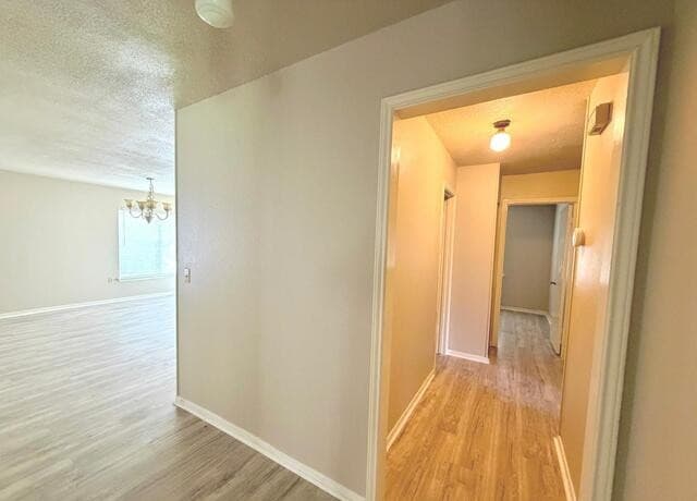 16503  Fox Den, San Antonio, TX 78247 — photo 5