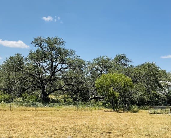 TBD LOT 46 Hidden Meadows