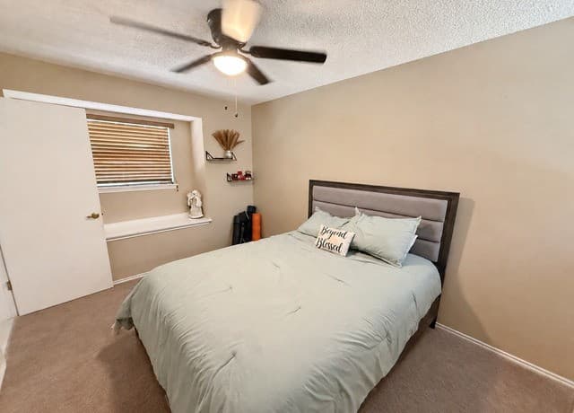 17319  Antlers Cv, Helotes, TX 78023 — photo 12