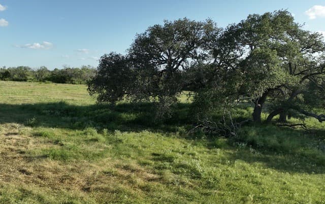 297  W Gates Valley Rd Lot 2, Poteet, TX 78065 — photo 3