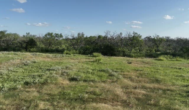 297  W Gates Valley Rd Lot 2, Poteet, TX 78065 — photo 4