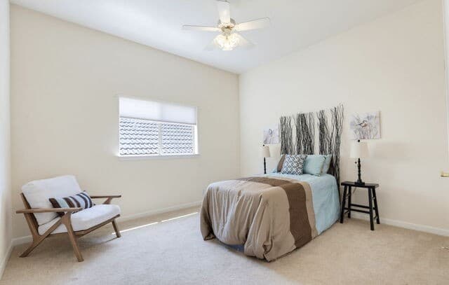 20914  Cactus Loop, San Antonio, TX 78258 — photo 24