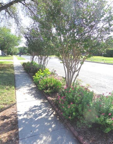 5511  Eaglewood St, San Antonio, TX 78233 — photo 14