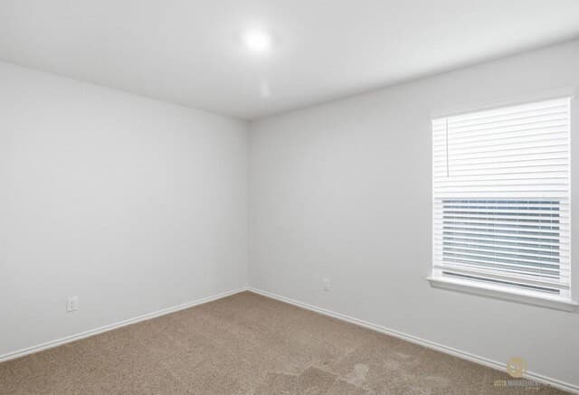 12226  Mulberry Crk, San Antonio, TX 78245 — photo 19