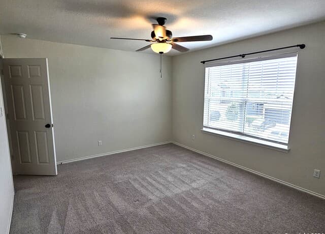 3162  Wild Iris, New Braunfels, TX 78130 — photo 13