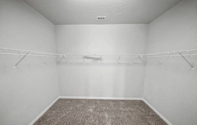6810  Comanche Band, San Antonio, TX 78233 — photo 24