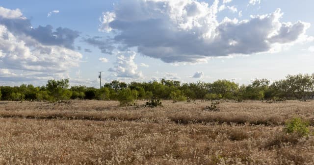 675  County Rd 1629, Moore, TX 78057 — photo 10
