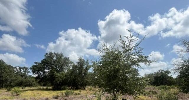 LOT 44  Pr 2535, Mico, TX 78056 — photo 10
