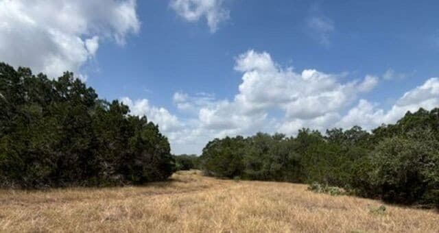 LOT 44  Pr 2535, Mico, TX 78056 — photo 14
