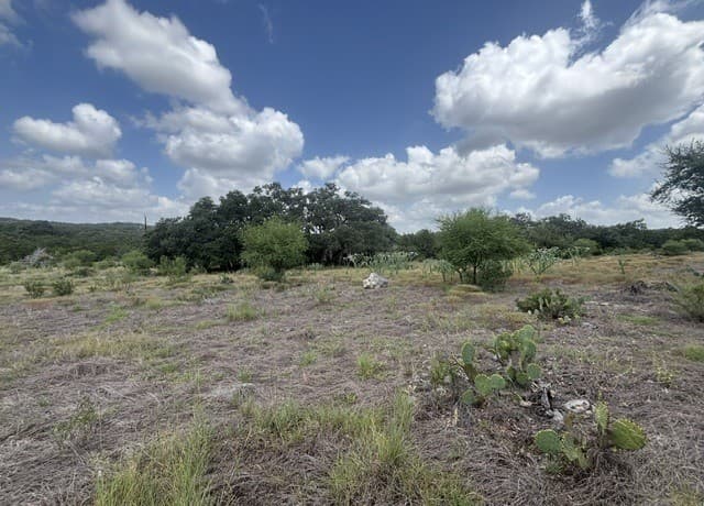 LOT 44  Pr 2535, Mico, TX 78056 — photo 19