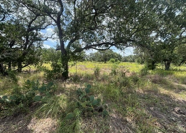 LOT 44  Pr 2535, Mico, TX 78056 — photo 2