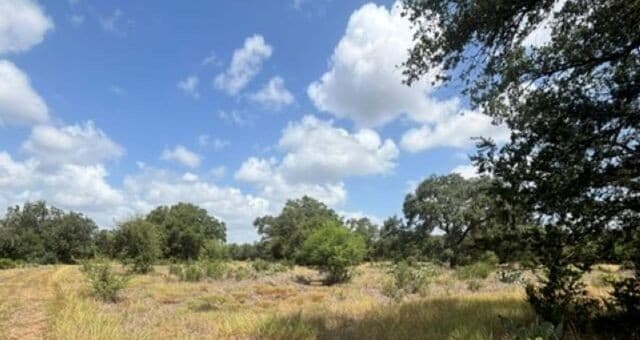 LOT 44  Pr 2535, Mico, TX 78056 — photo 7
