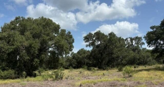 LOT 44  Pr 2535, Mico, TX 78056 — photo 8