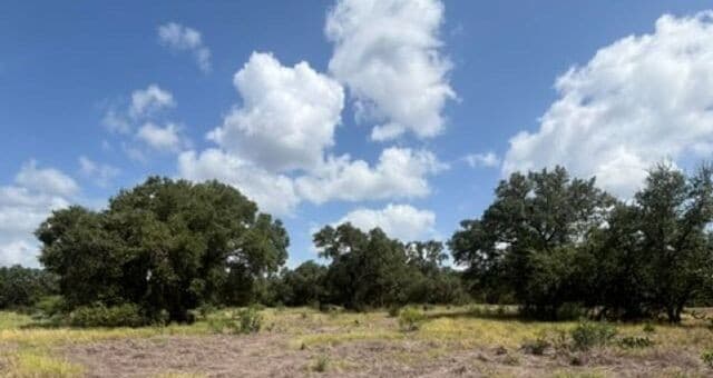 LOT 44  Pr 2535, Mico, TX 78056 — photo 9