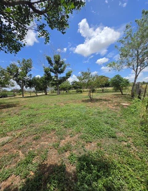 305  Waltom Ave, Jourdanton, TX 78026 — photo 2