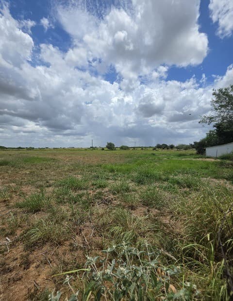 305  Waltom Ave, Jourdanton, TX 78026 — photo 4