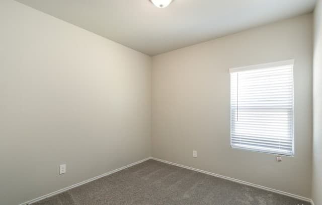1149  Gracie Way, New Braunfels, TX 78112 — photo 14
