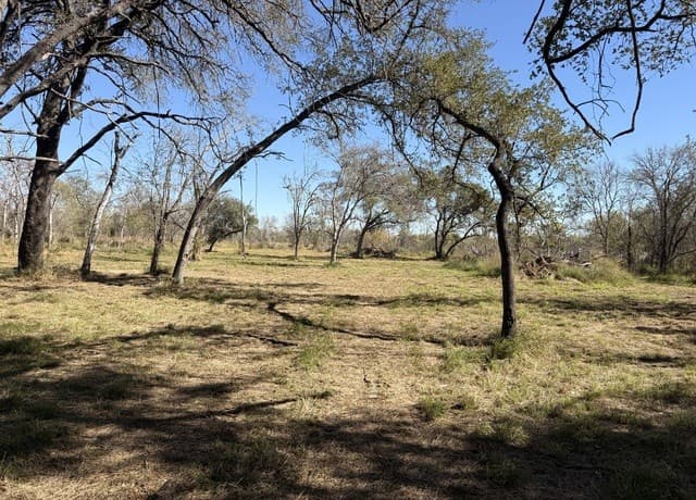0  Gidley, Atascosa, TX 78002 — photo 15