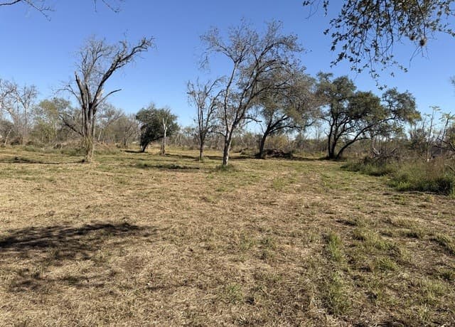 0  Gidley, Atascosa, TX 78002 — photo 16