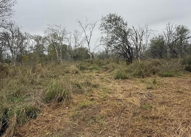 0  Gidley, Atascosa, TX 78002 — photo 18